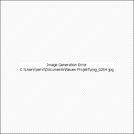 Erlebnis- / Geschenkgutschein Panzerfahrschule BMP-1 SP2